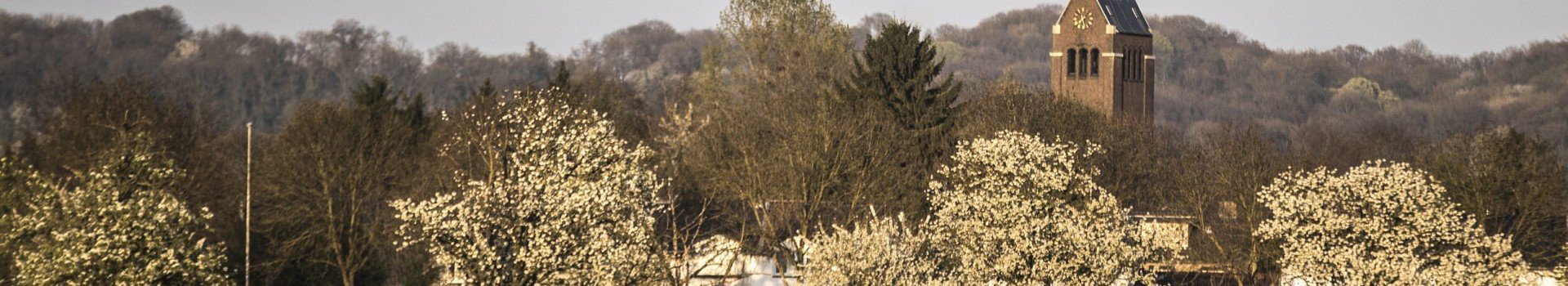 1973 bloesem omgeving mechelerhof