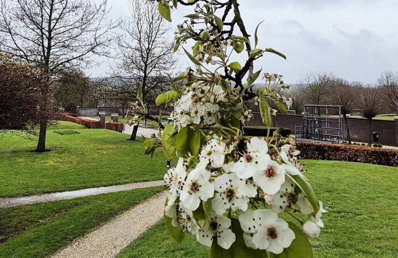 Last minute voordeel bij De Mechelerhof