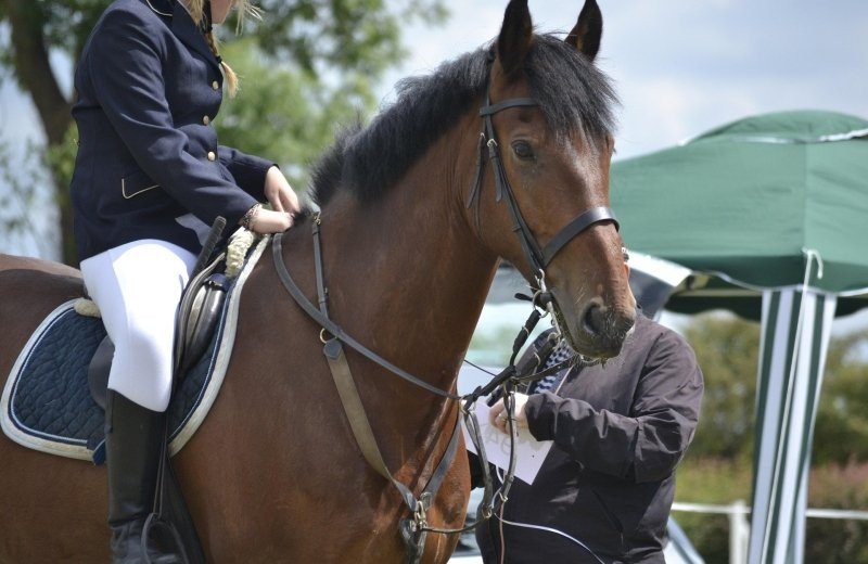 Paardensportfestival TSCHIO Aken