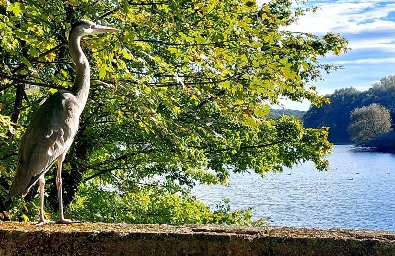 Fotos marjo wandelen bij kasteel erenstein de cranenweyer stuwmeer bij kerkrade 1