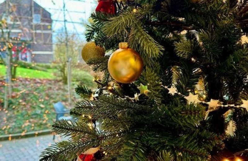 Gezellig versierde kerstboom in een vakantieappartement van De Mechelerhof met kerstballen