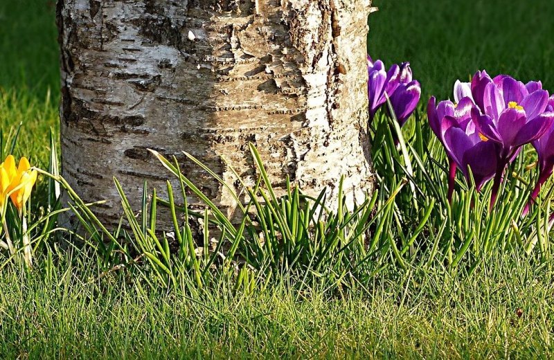 Tot 10% voordeel met Pasen