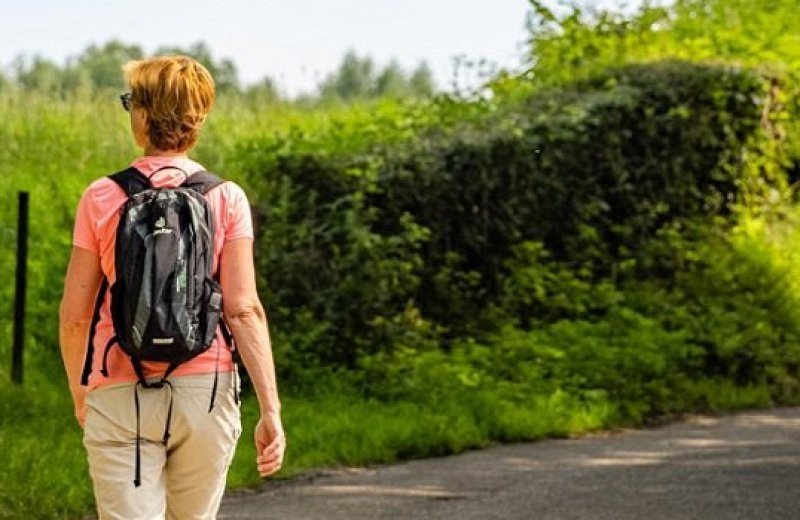 Vakantiepark mechelen wandelen banner
