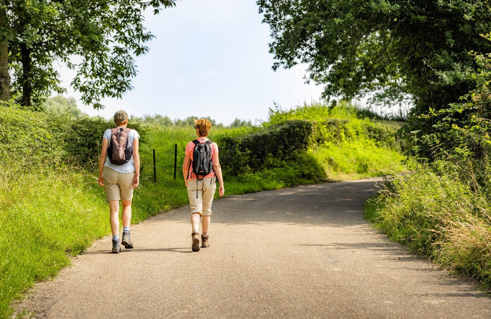 Wandelen vanaf het park direct het heuvelland in