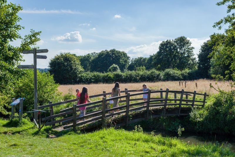 Wandern im Urlaub mit Hund in Limburg Holland